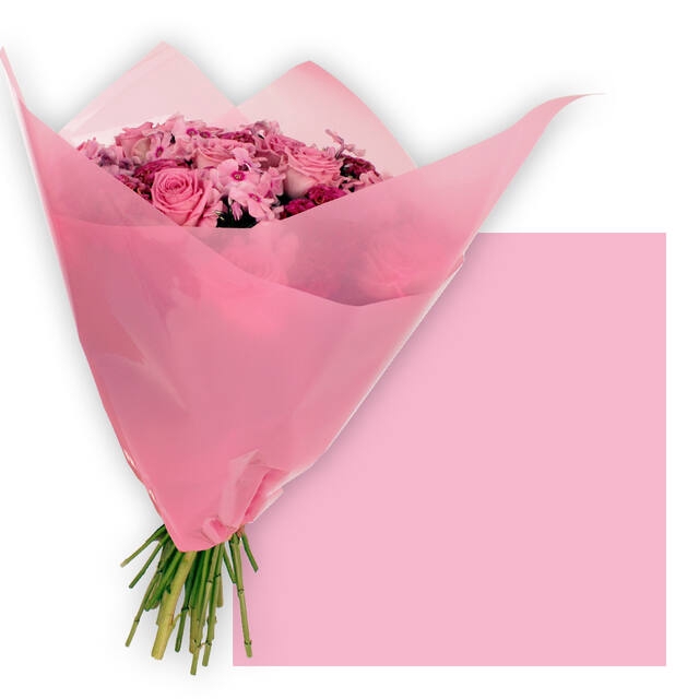 <h4>Vellen 80x80cm OPP50 Frost roze 100st/pak</h4>
