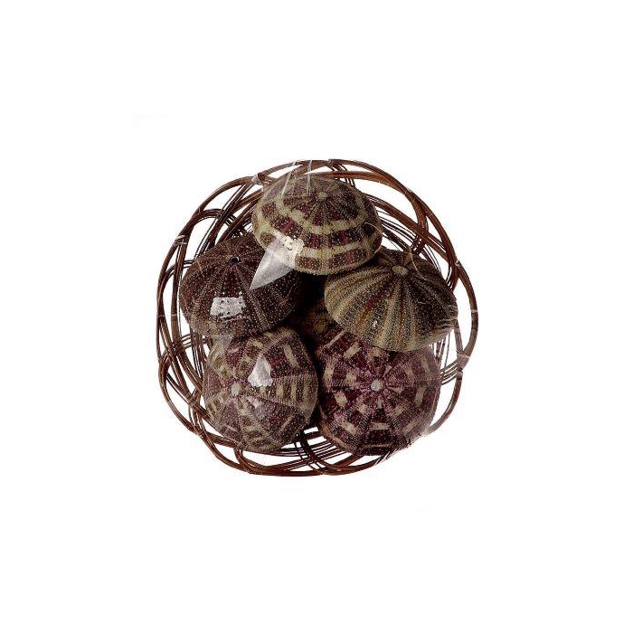 <h4>Basket Shell Urchin 6Pcs D7.5</h4>