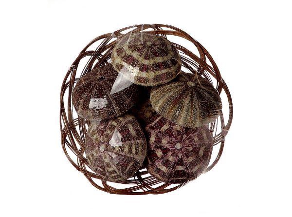 Basket Shell Urchin 6Pcs D7.5