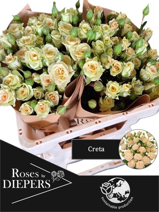 <h4>R TR CRETA!</h4>