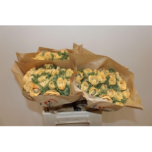 Anem Marianne Powder Abricot