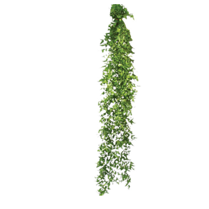 FOLHAGEM ASPARGO SMILAX