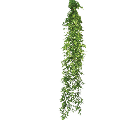<h4>FOLHAGEM ASPARGO SMILAX</h4>