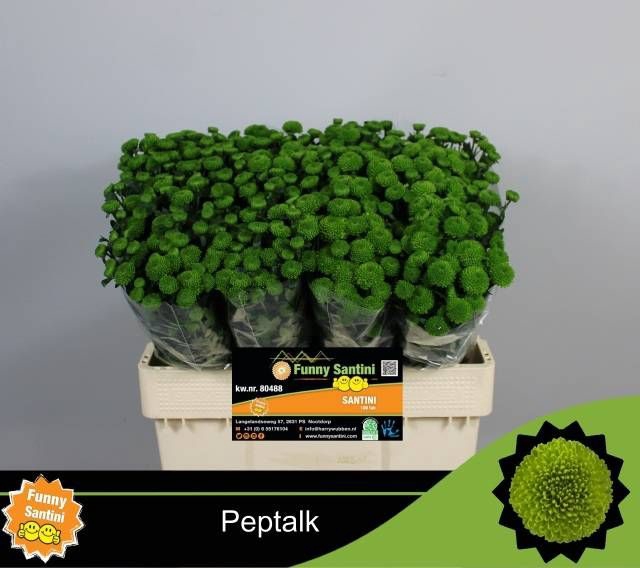 <h4>CHR S AAA PEPTALK</h4>