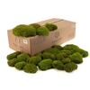 Mood Moss Gepreserveerd Bulk Ca. 0,8 M2