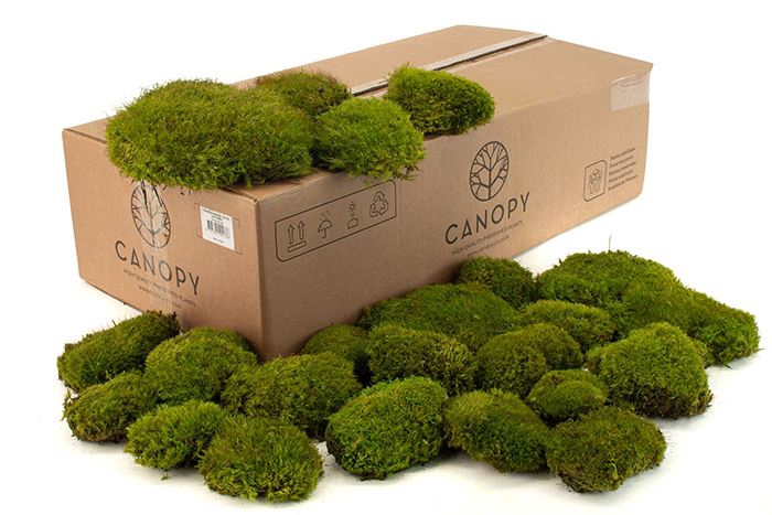 Mood Moss Gepreserveerd Bulk Ca. 0,8 M2