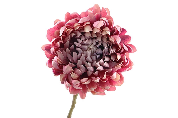 <h4>Chrysanthemum Pink Lavender FL440197PNK</h4>