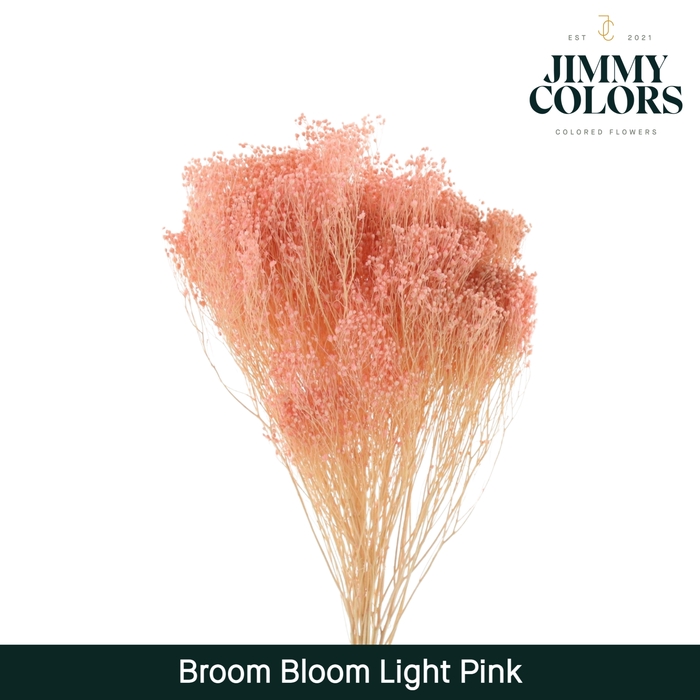 Broom bloom Light pink