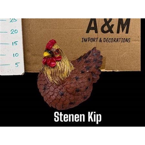 Stenen Kip Broedend 15x10
