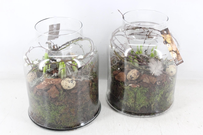 <h4>arr4 Narcis MB - Glas venice</h4>