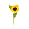 GIRASSOL 080 CM