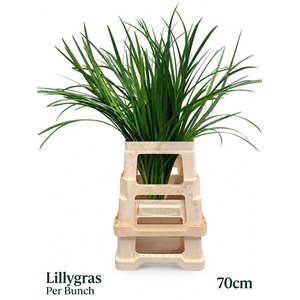DECOGROEN GROOT BLAD