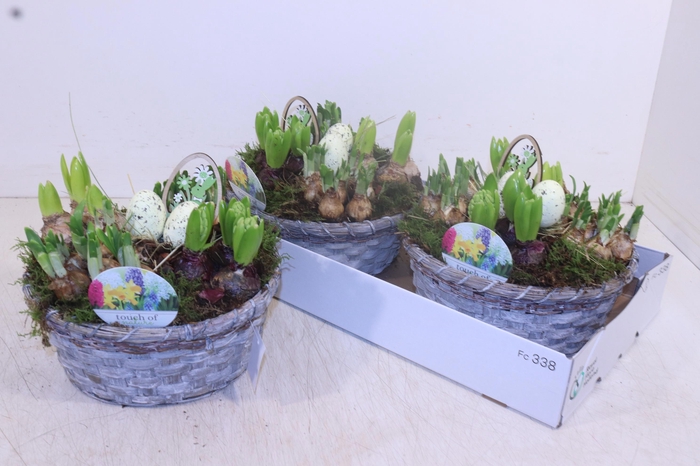 <h4>ARR BOL KNOLGEWAS</h4>