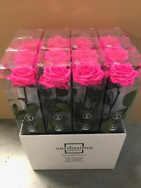 Roos op steel XL plexi bright pink