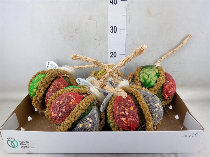 <h4>Decoratie  ..Vogelzaadfiguur</h4>