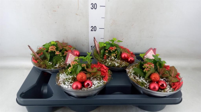 <h4>Arr. Kerst L%</h4>