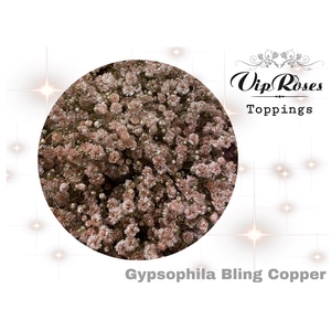 Gyps Pa Vip Bling Copper