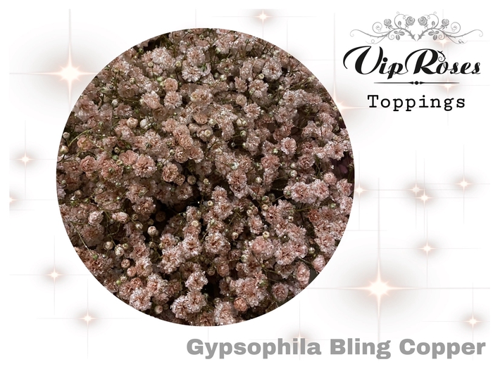 <h4>GYPS PA BLING COPPER</h4>