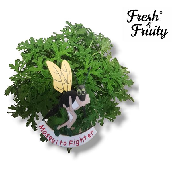 <h4>Pel. Fresh&Fruity® Mosquito Fighter MET HOUTEN STEKER</h4>