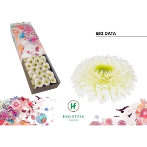 GE GB Gerponi Big Data doos