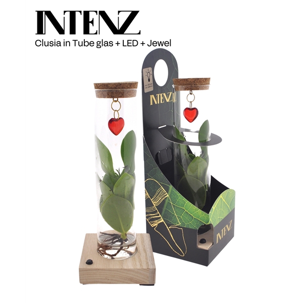 <h4>Mix in Tube glas + LED + verpakking + Jewel (hartje)</h4>