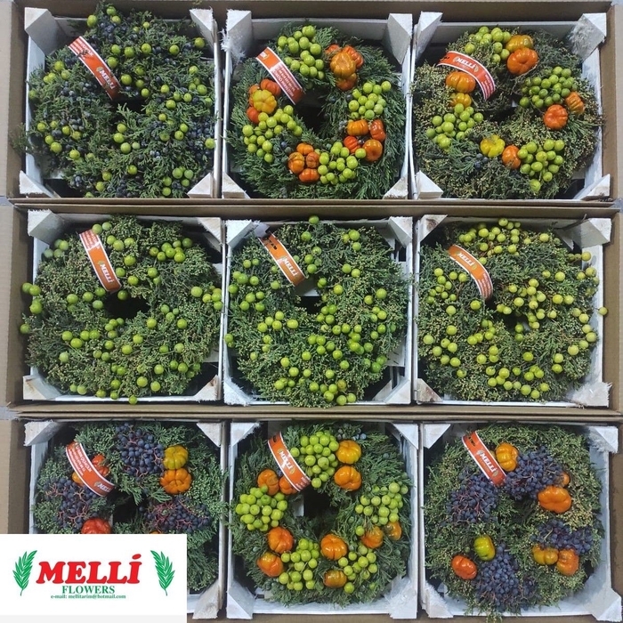 <h4>SIERFRUIT KRANS H%</h4>