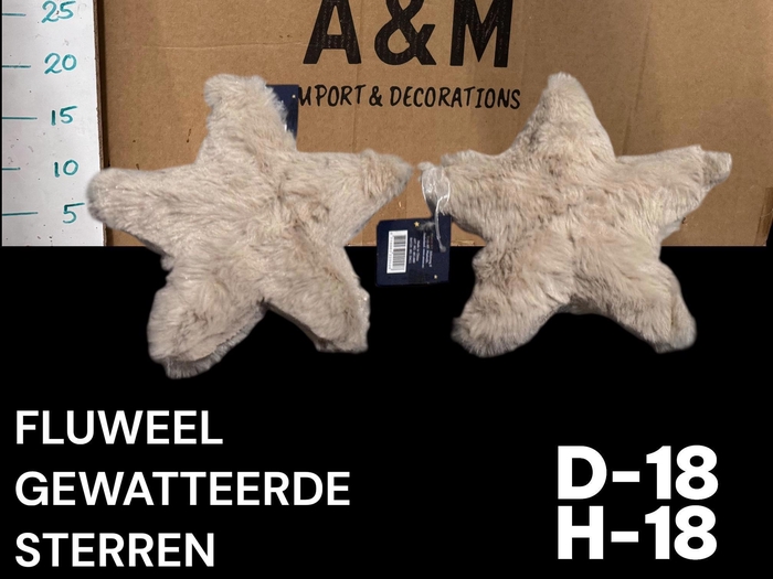 <h4>HUIS EN TUINDECO H%</h4>