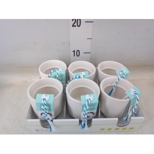 Pot   ...Keramische H%