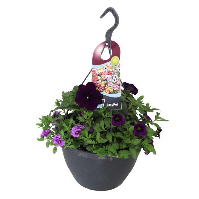 <h4>Hangpotten 27 waterreservoir mix 01 Blauwe mix</h4>