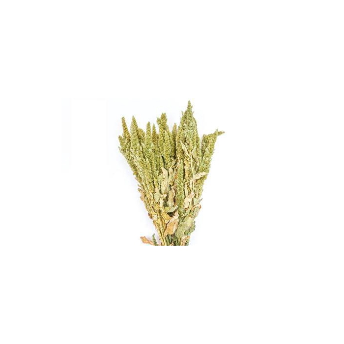 <h4>Bunch Amaranthus Slv 200g L50</h4>