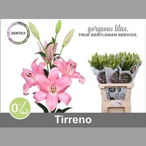 Li La Tirreno