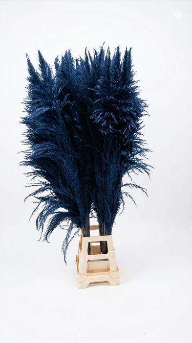 <h4>Dried Cortaderia Sacuara Indigo Blue</h4>