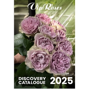 BROCHURE (ROSES) VIP ASSORTMENT 2025