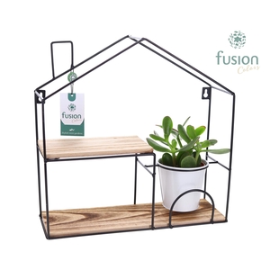 Wandhuis metaal met Succulent