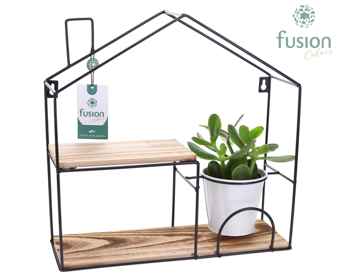 <h4>Wandhuis metaal met Succulent</h4>