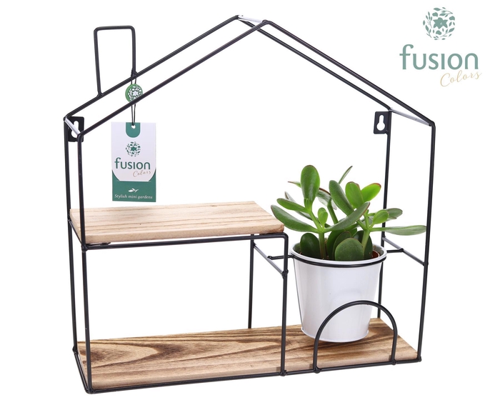 <h4>Wandhuis metaal met Succulent</h4>