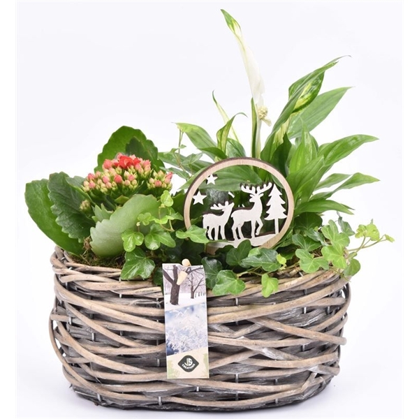 Wilg mand ovaal girjs 22x13cm