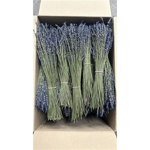 Dried Lavandula Per Bunch 100 Gram