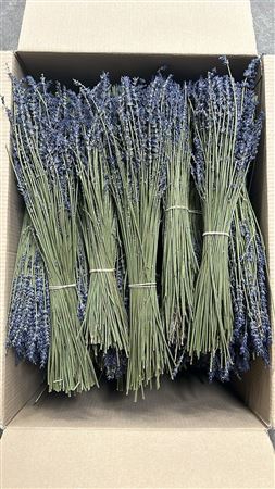 Dried Lavandula Per Bunch 100 Gram