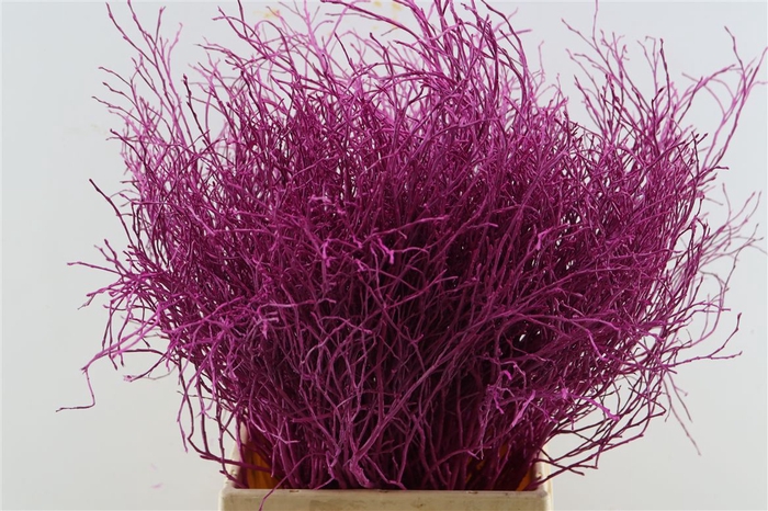 <h4>Bosbes Verf Fuchsia</h4>