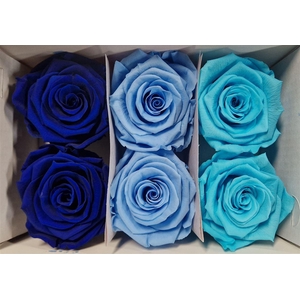 Ro Pres Classic Mix Blue