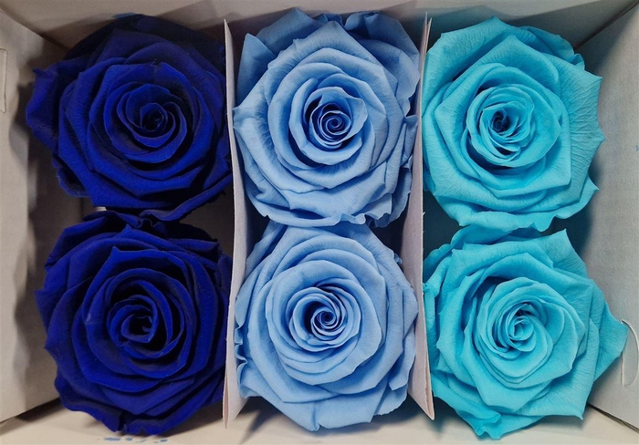 Ro Pres Classic Mix Blue