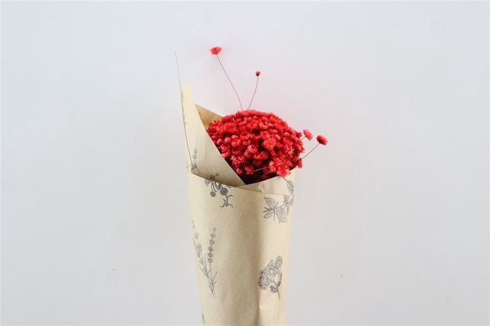 <h4>Dried Glixia Red Bunch</h4>