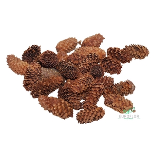 PINECONE MINI SPRUCE 180GR NATURAL