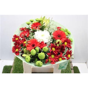 Gem Boe Middel Rood 25 Stelen Vers