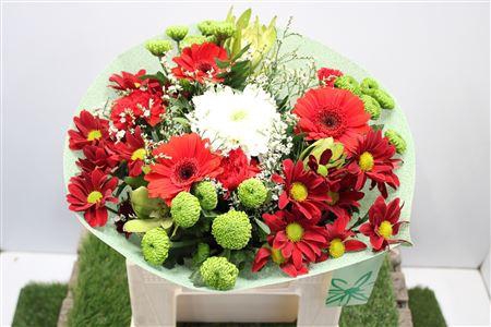 <h4>Gem Boe Middel Rood 25 Stelen Vers</h4>