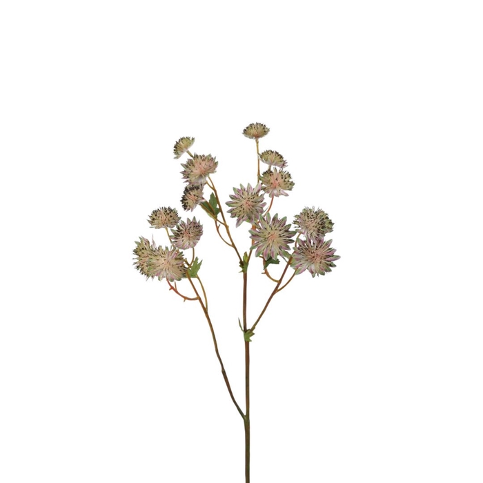 <h4>Artificial flowers Astrantia 62cm</h4>