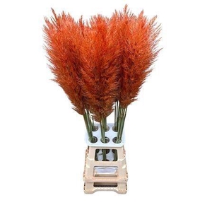 SNIJBLOEMEN KLB H%