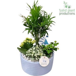 CH003 Loes Blue