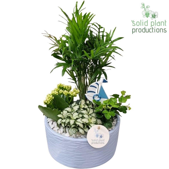 <h4>CH003 Loes Blue</h4>